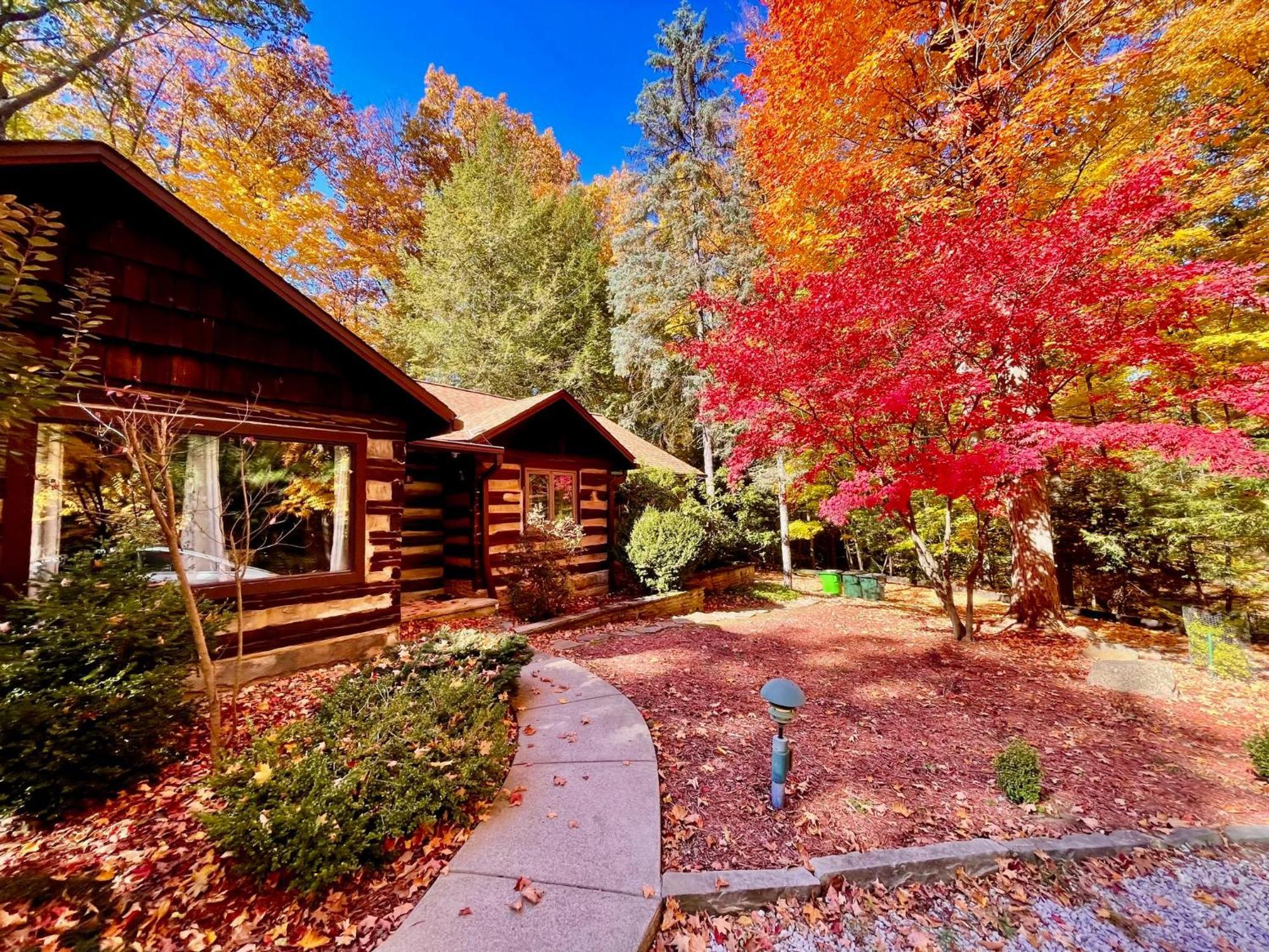 Log Cabin - Natures Oasis - Fire Pit & Gazebo Cleveland Exterior photo