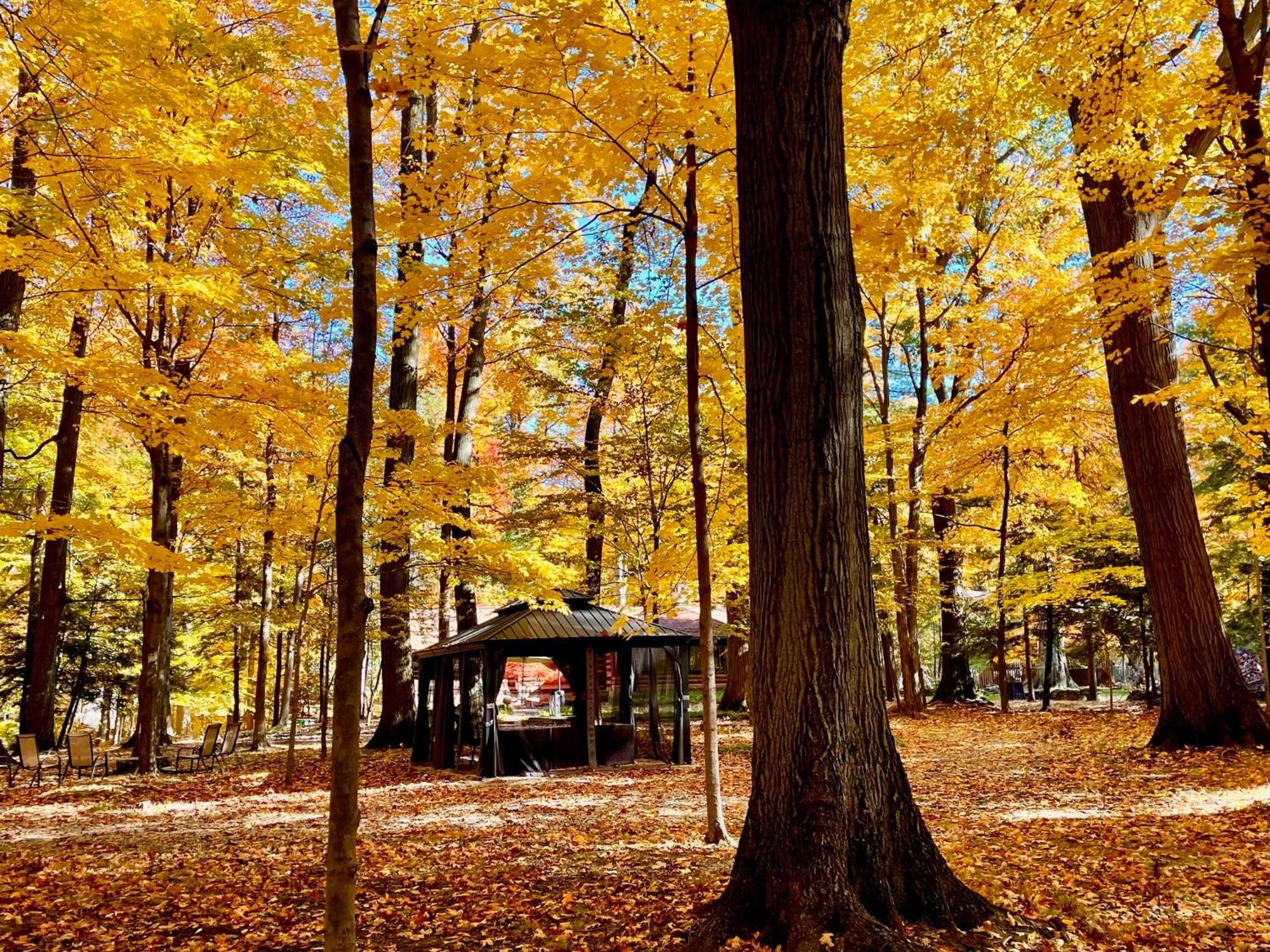 Log Cabin - Natures Oasis - Fire Pit & Gazebo Cleveland Exterior photo